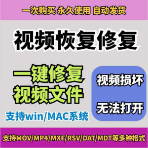损坏MP4视频修复软件断电恢复工具短片导出摄像机视频文件修复-鑫杰虚拟电商货源网-虚拟货源产品网站