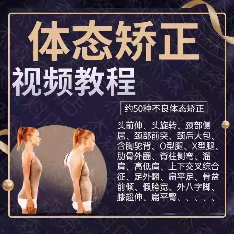 体态矫正运动评估视频教学课程健身身材管理纠正锻炼恢复教程-鑫杰虚拟电商货源网-虚拟货源产品网站