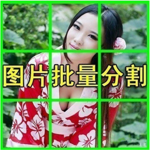图片批量切割软件 图片批量分割工具 批量切图器 图片批量裁剪-鑫杰虚拟电商货源网-虚拟货源产品网站