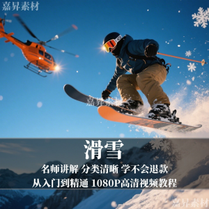 单板双板滑雪教程视频教学成人全套入门自学零基础学习视频教程-鑫杰虚拟电商货源网-虚拟货源产品网站