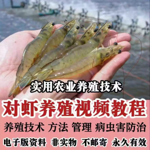 对虾养殖技术视频教学教程水质管理日常养护疾病防治南美白素材-鑫杰虚拟电商货源网-虚拟货源产品网站