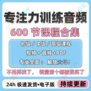 儿童专注力教程听觉注意力训练分阶全套音频视频课程早教电子版-鑫杰虚拟电商货源网-虚拟货源产品网站