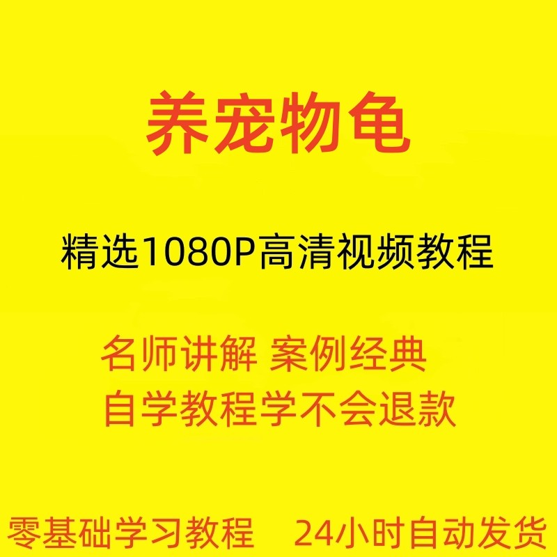 养宠物龟饲养视频教程全套从入门到精通技巧培训学习在线课程-鑫杰虚拟电商货源网-虚拟货源产品网站