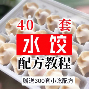 【0.01秒发】40套水饺技术配方 特制技术视频教程-鑫杰虚拟电商货源网-虚拟货源产品网站