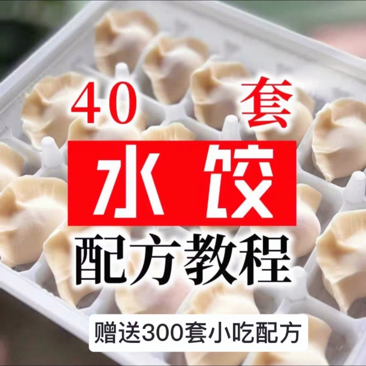【0.01秒发】40套水饺技术配方 特制技术视频教程-鑫杰虚拟电商货源网-虚拟货源产品网站